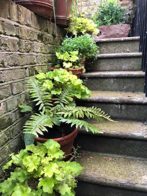 Villa Kings Cross, Self-Contained House & Private Garden Londra Esterno foto