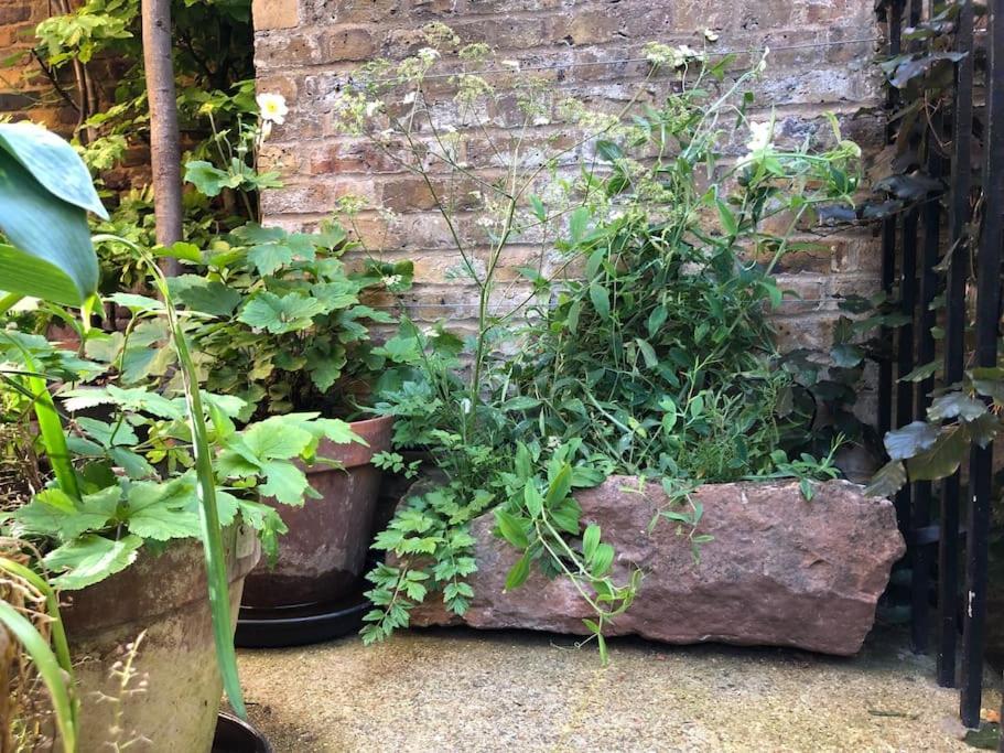 Villa Kings Cross, Self-Contained House & Private Garden Londra Esterno foto
