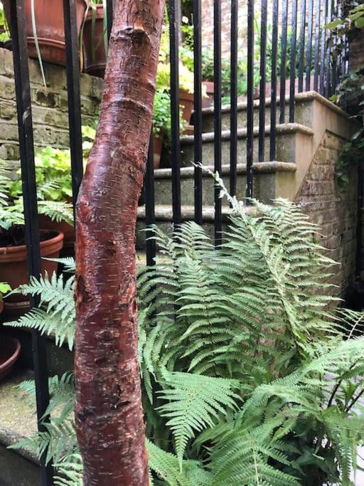 Villa Kings Cross, Self-Contained House & Private Garden Londra Esterno foto